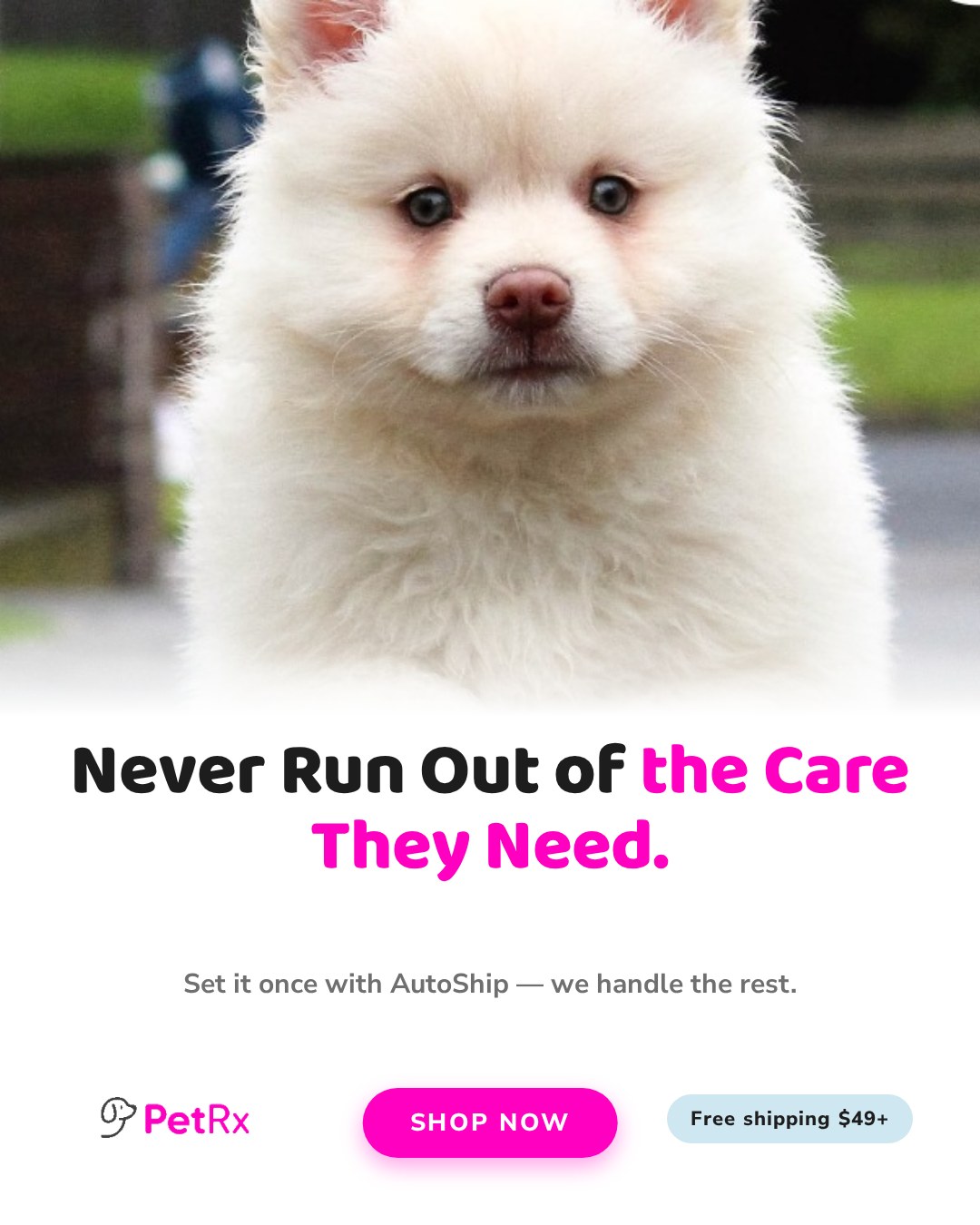 PetRx.com Facebook ad