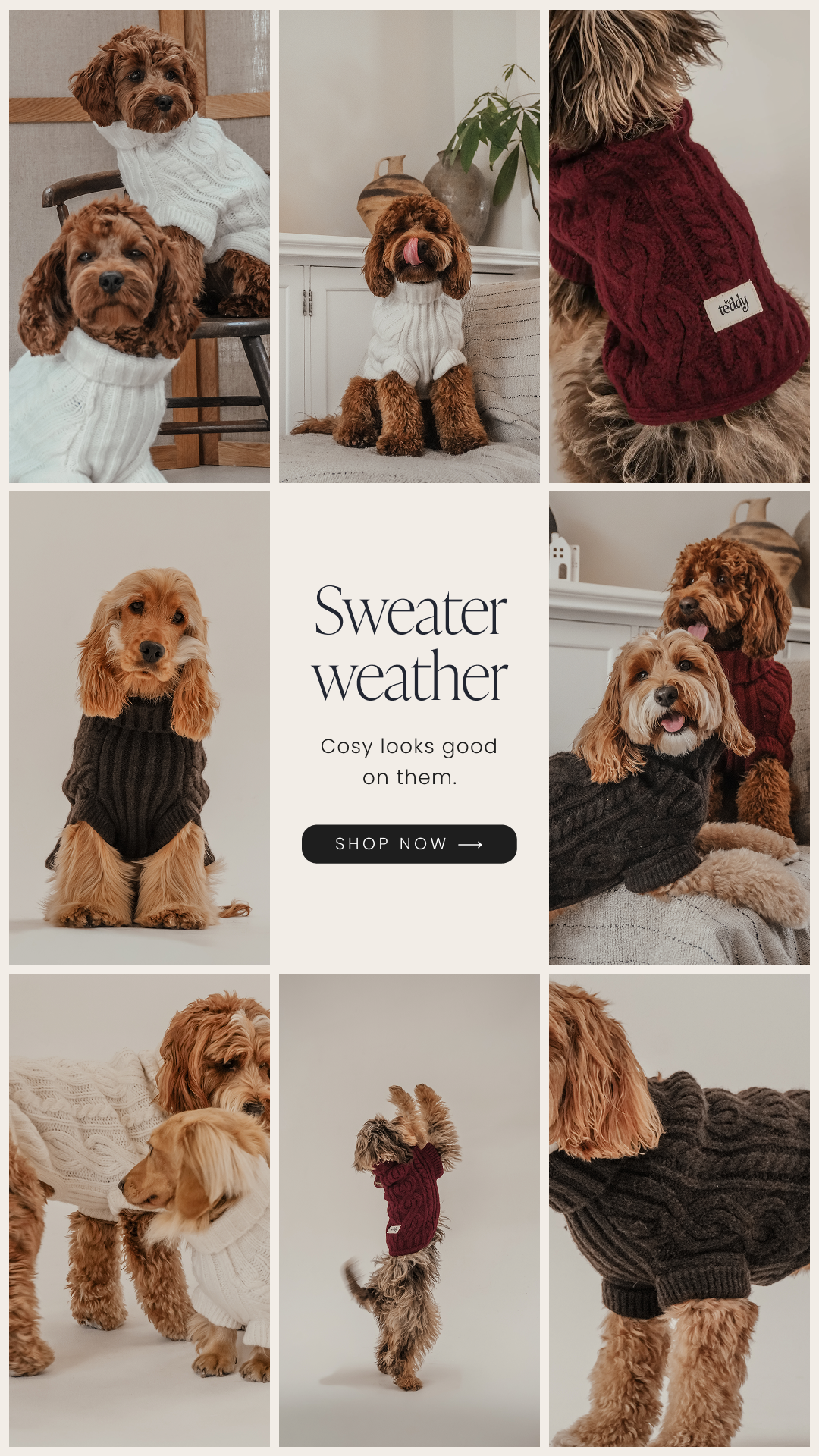 By Teddy Facebook ad