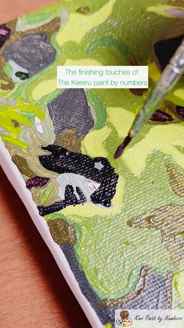 Kiwi Paint By Numbers Facebook ad: Watch me finish my Kereru!