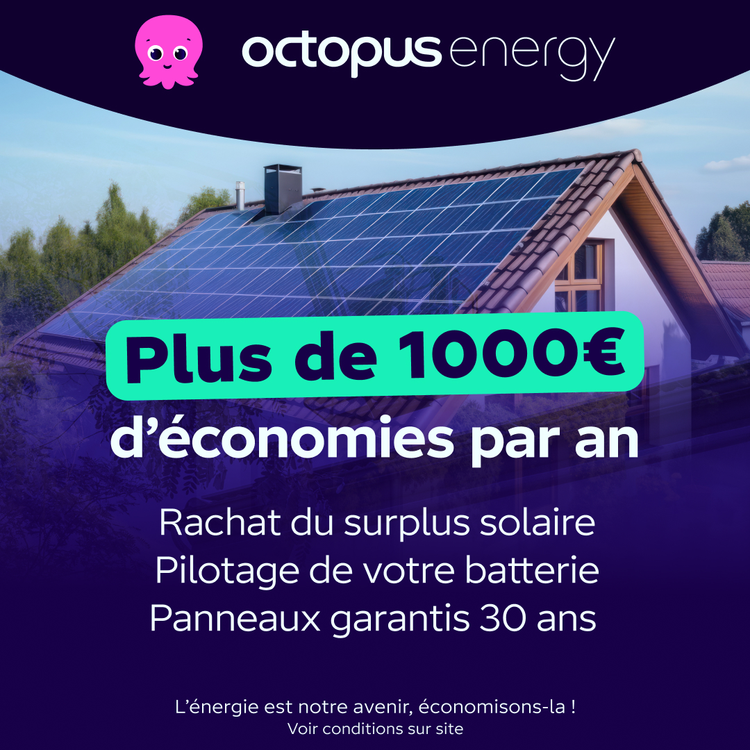 Octopus Energy Facebook ad