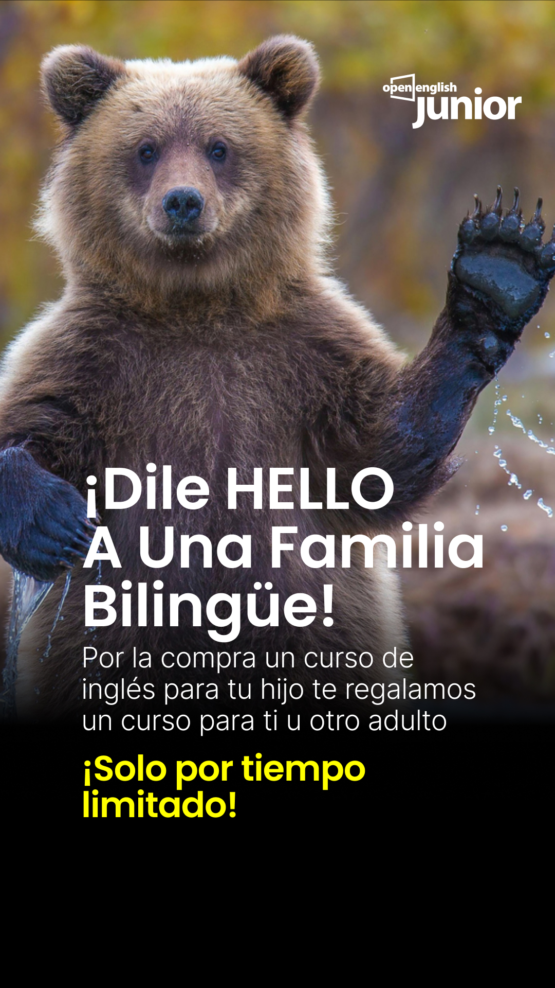 Open English Junior Facebook ad