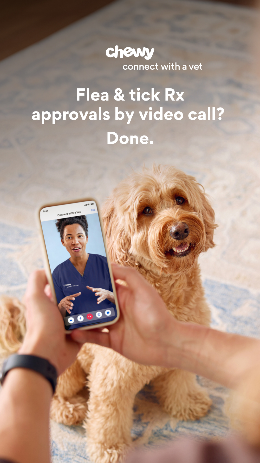Chewy Facebook ad