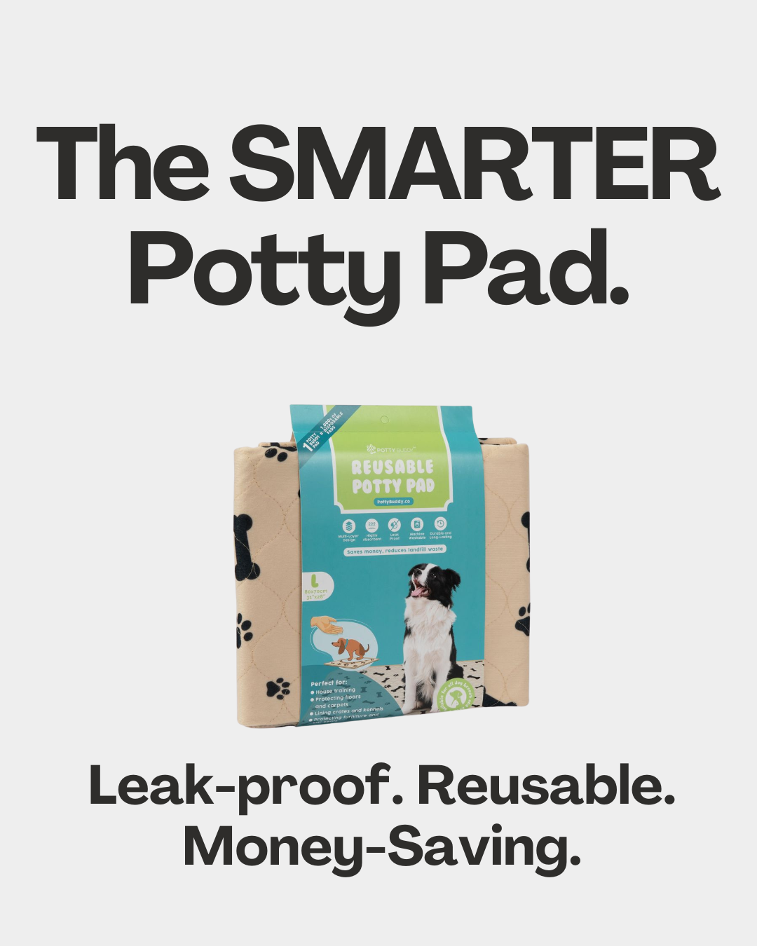 Potty Buddy Facebook ad