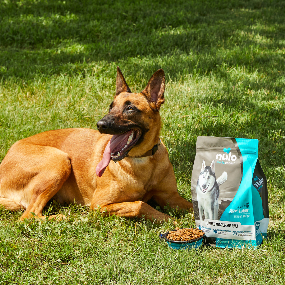 Petco Facebook ad