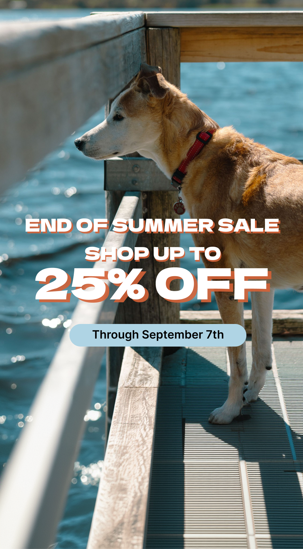 Cleverpup Facebook ad