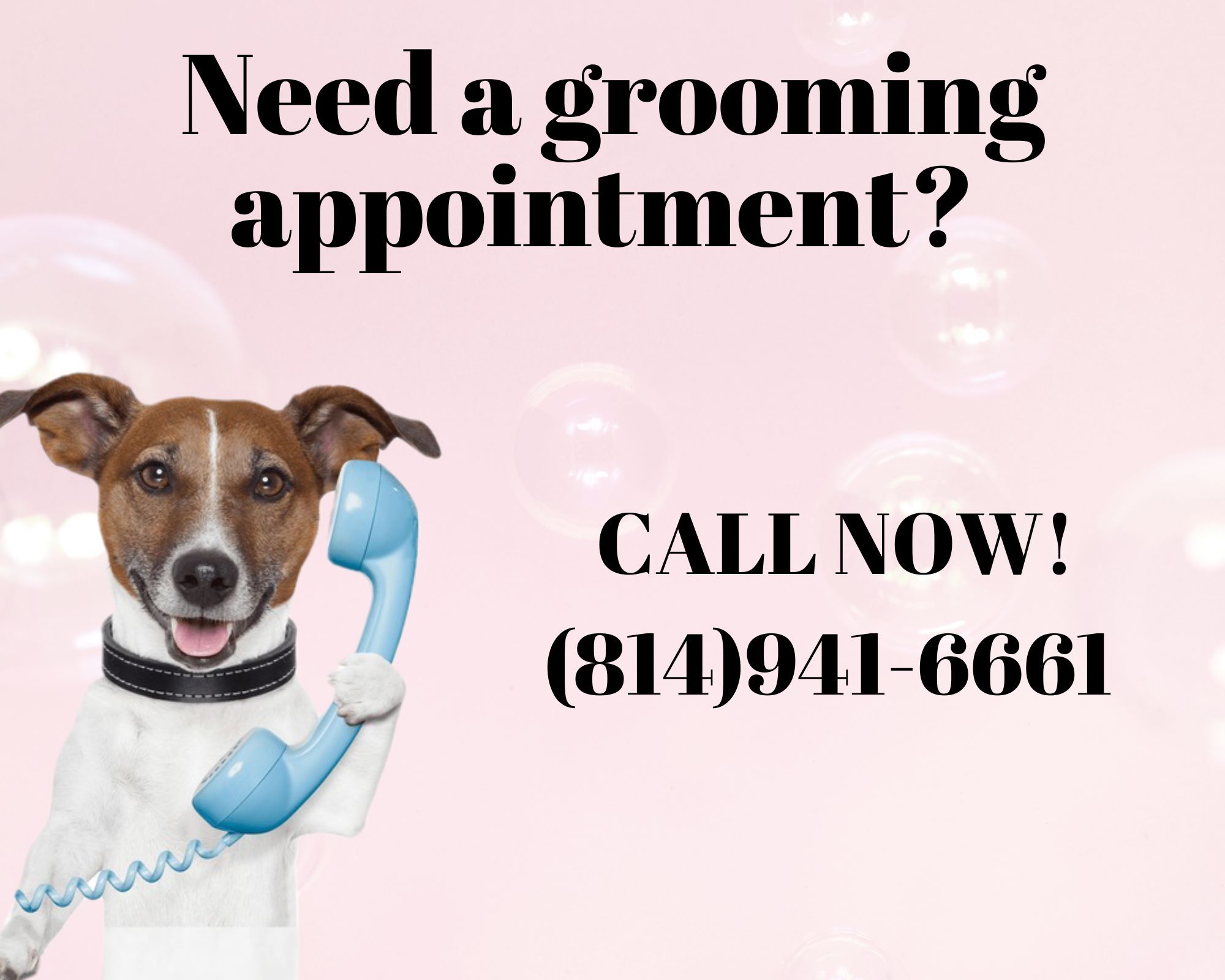 Fabulous Fido Facebook ad: Excited to announce we are accepting new clients!