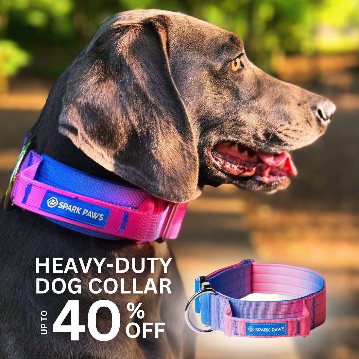 Spark Paws Facebook ad