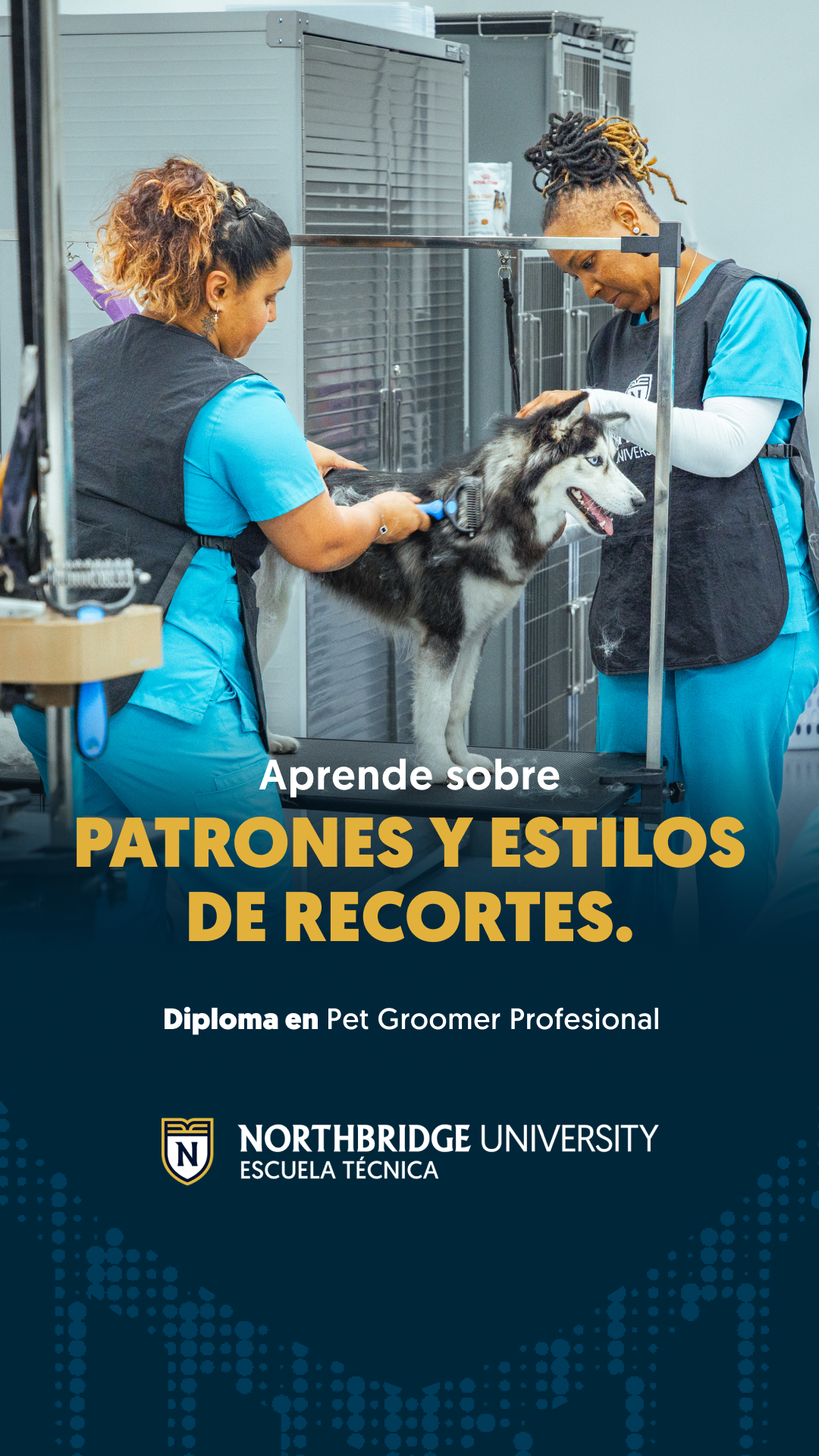 Northbridge University - Escuela Técnica Facebook ad