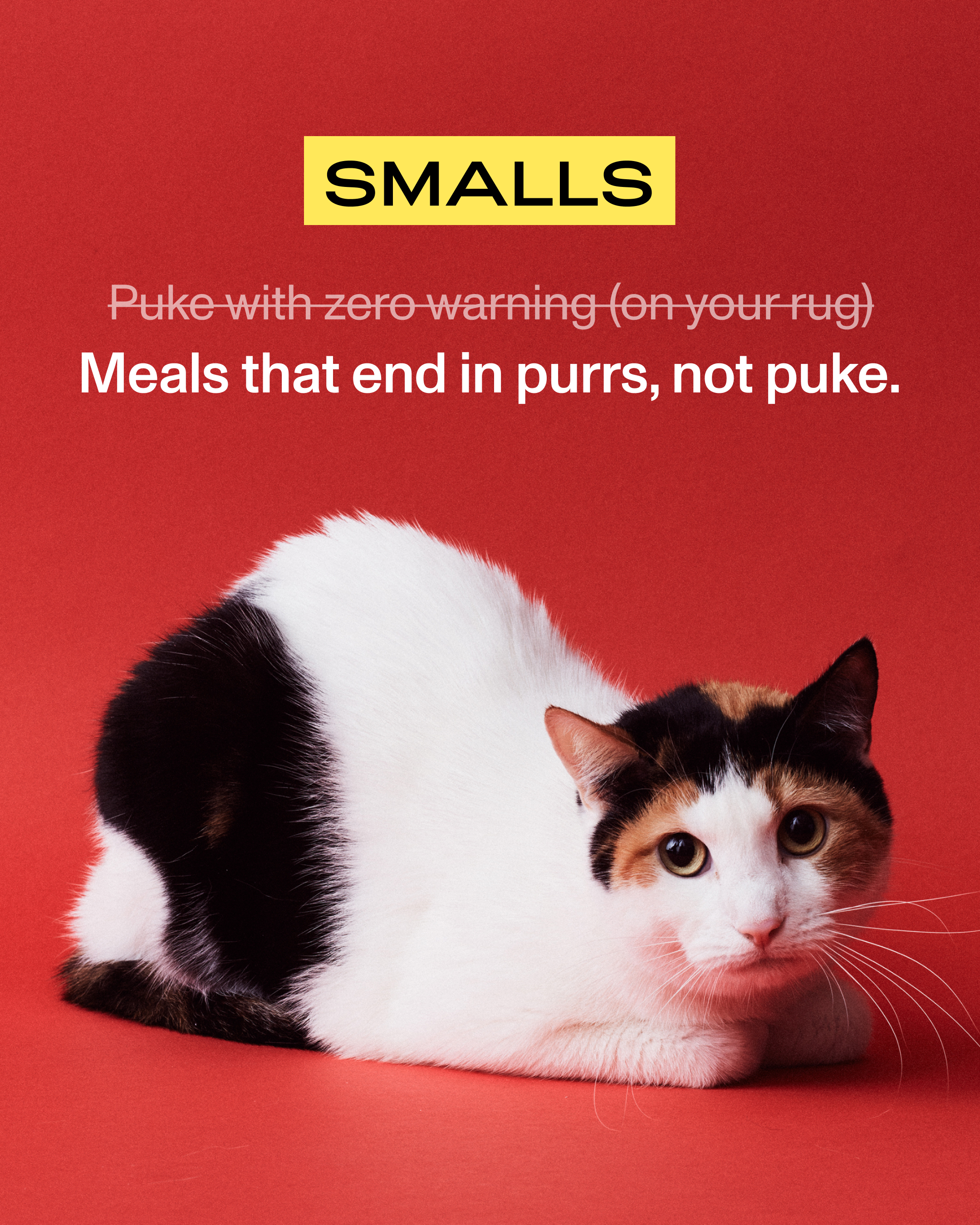 Smalls Facebook ad