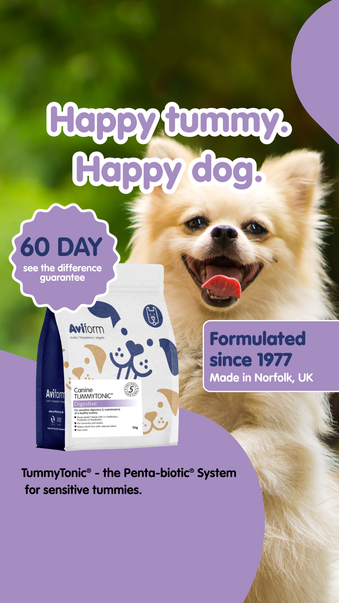 Aviform Nutrition UK - Horse & Dog Facebook ad