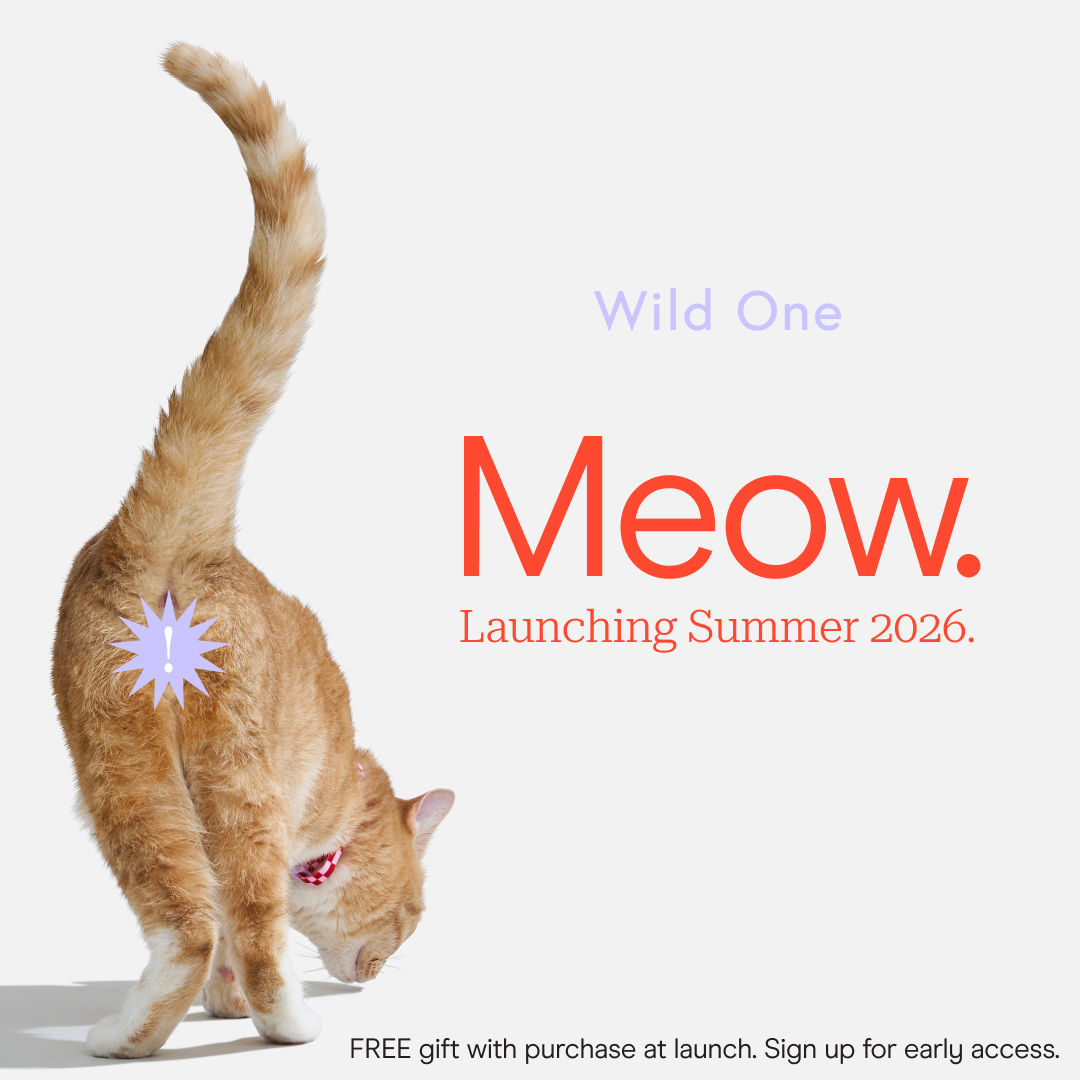 Wild One Facebook ad
