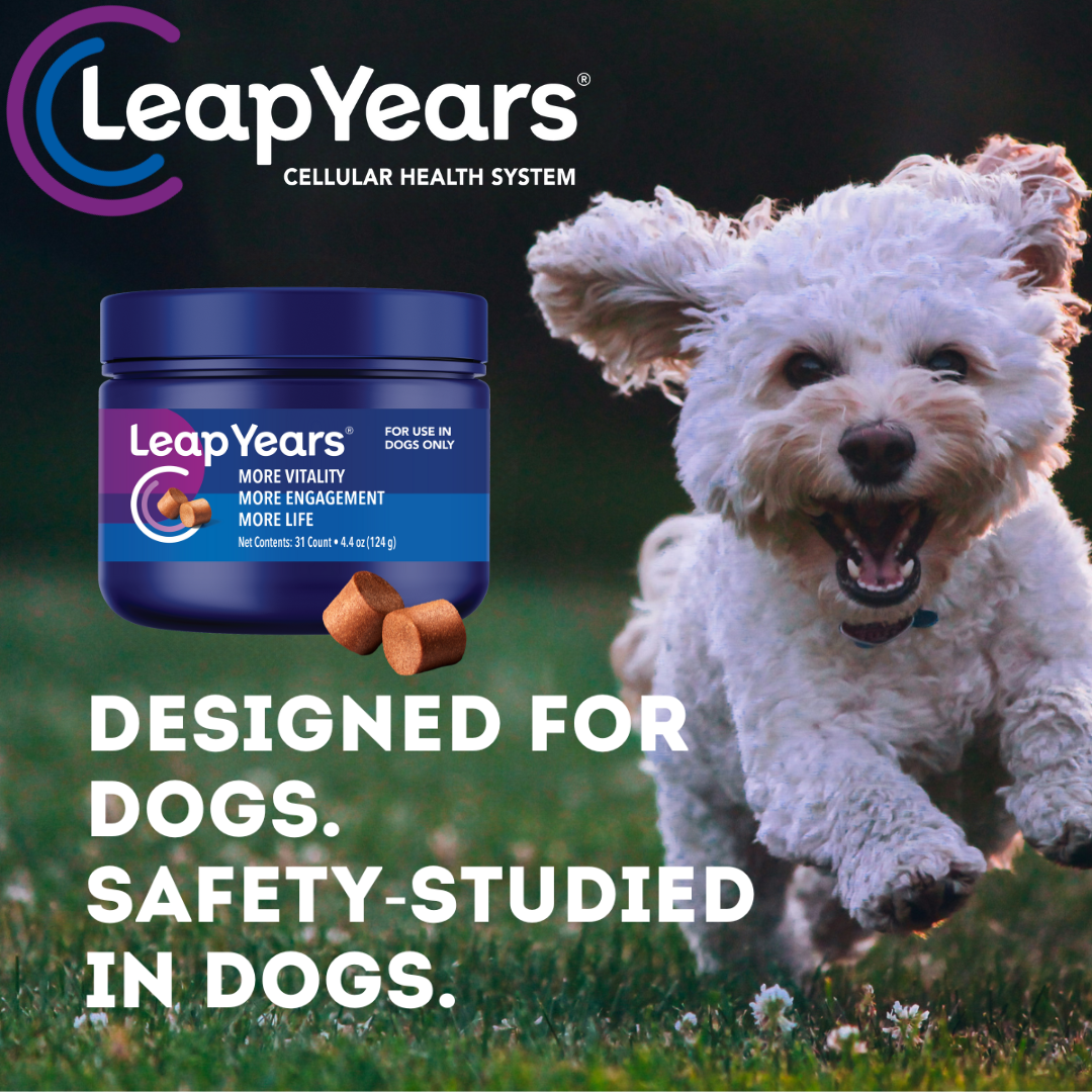 Leap Years Dogs Facebook ad