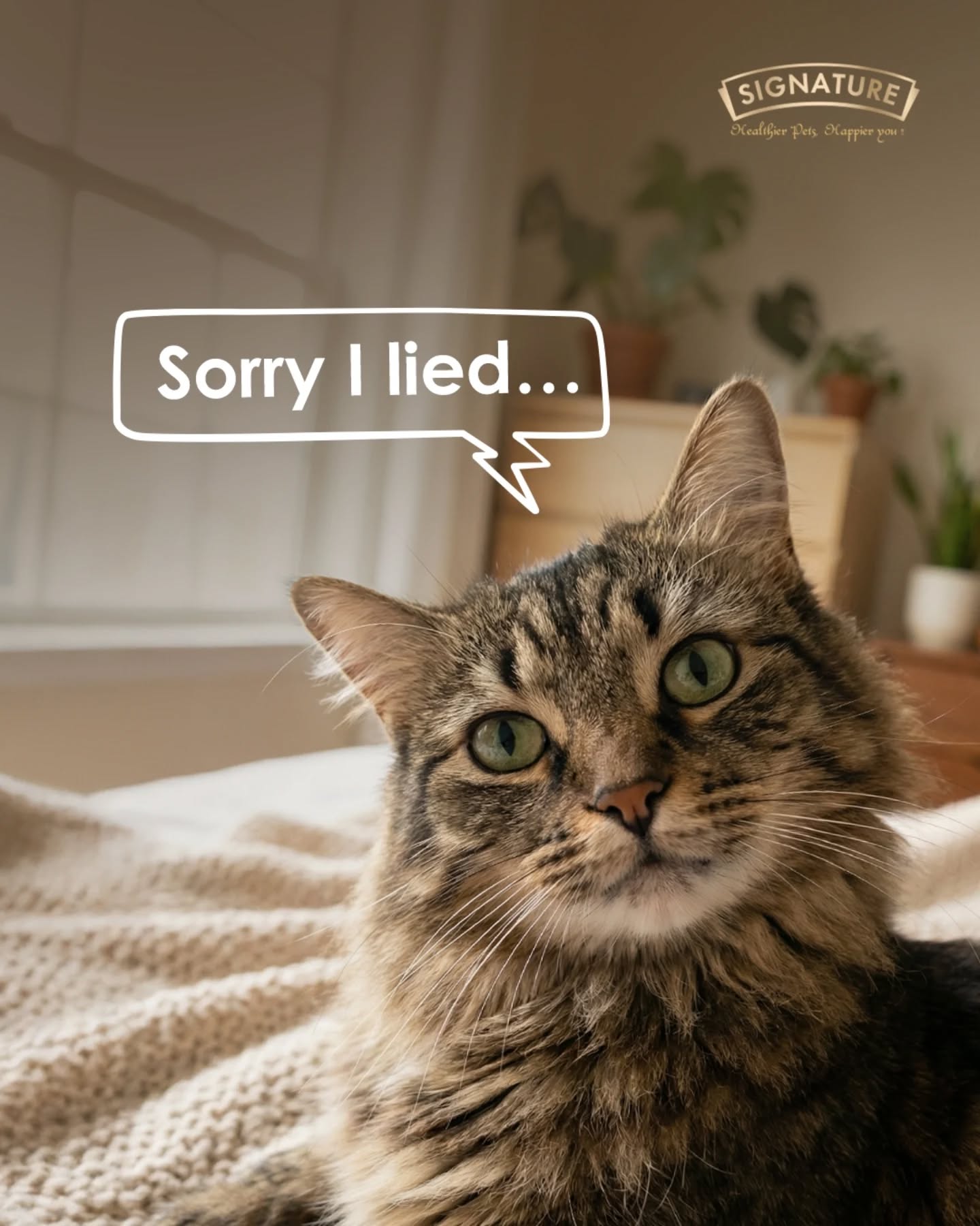Signature Pet Foods Facebook ad: Pets are full of surprises… and sometimes, little…