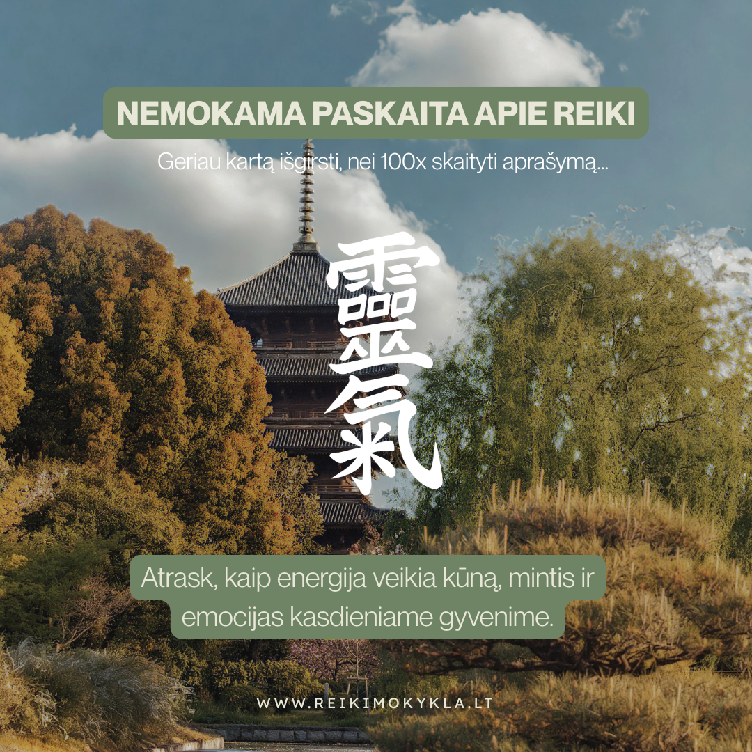 Indiška Reiki mokykla Facebook ad