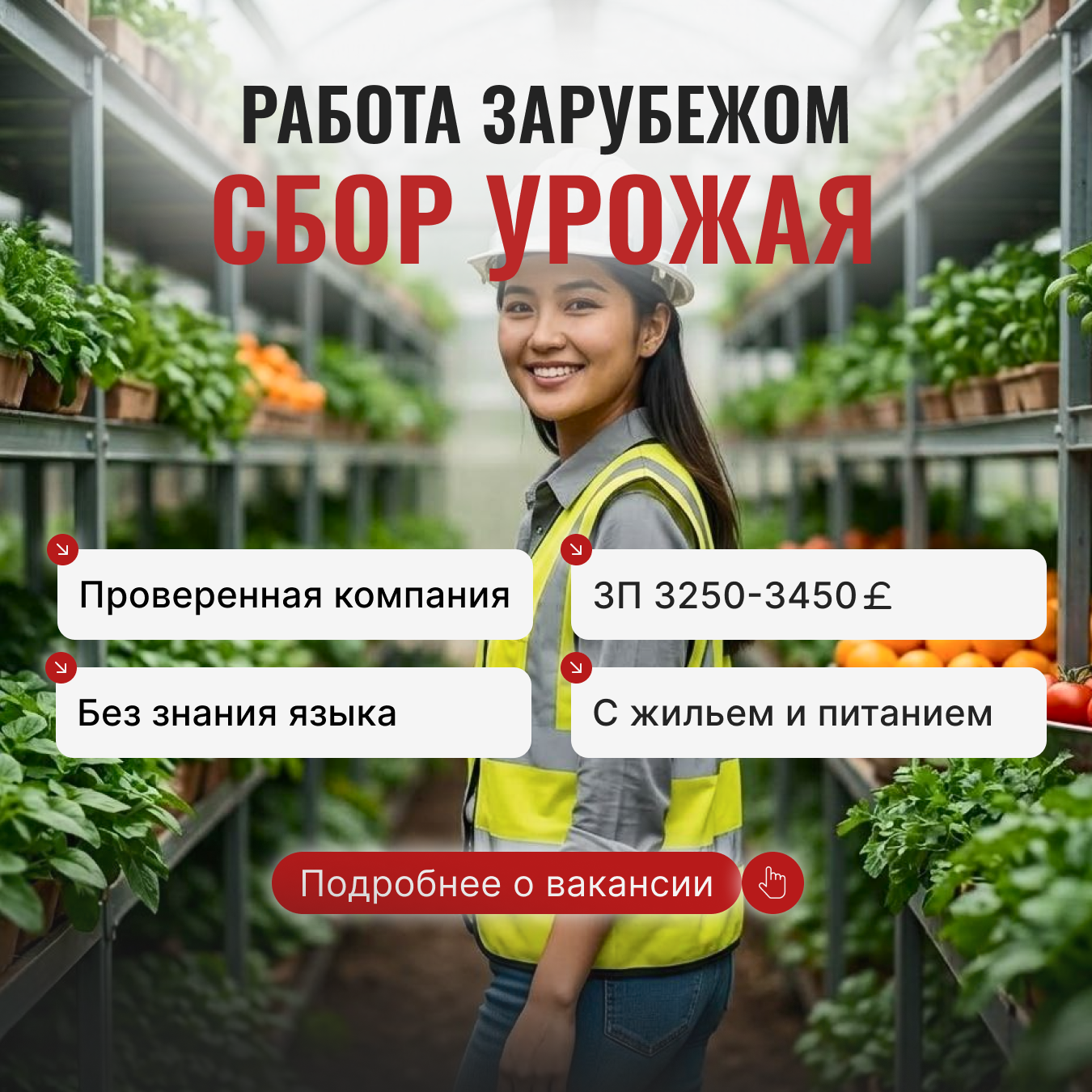 Трудоустройство за рубежом Facebook ad: Оставляй заявку по кнопке ниже!
