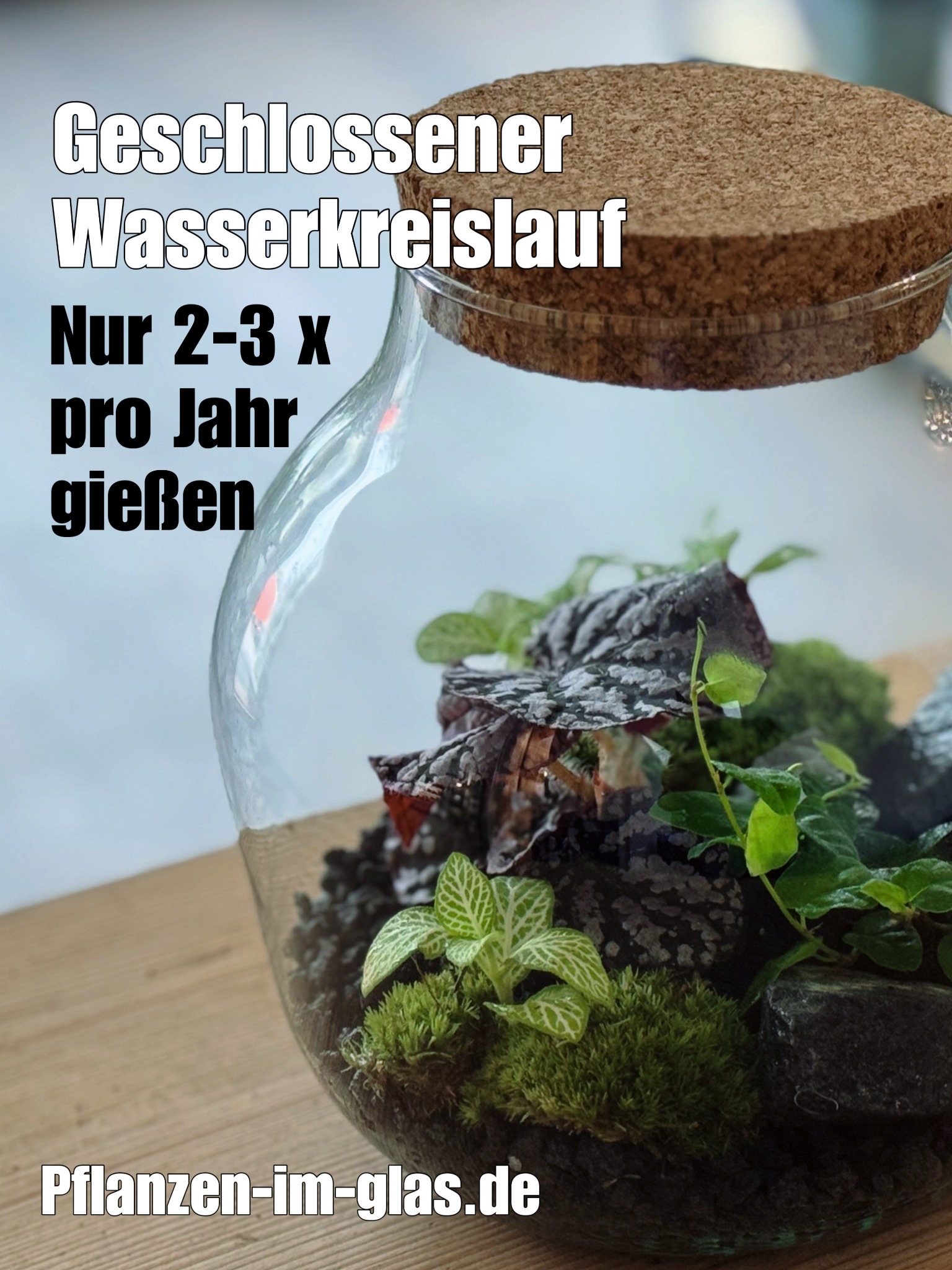 pflanzenimglas Facebook ad