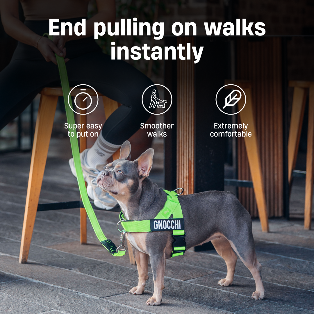 Dog Friendly Co. Facebook ad