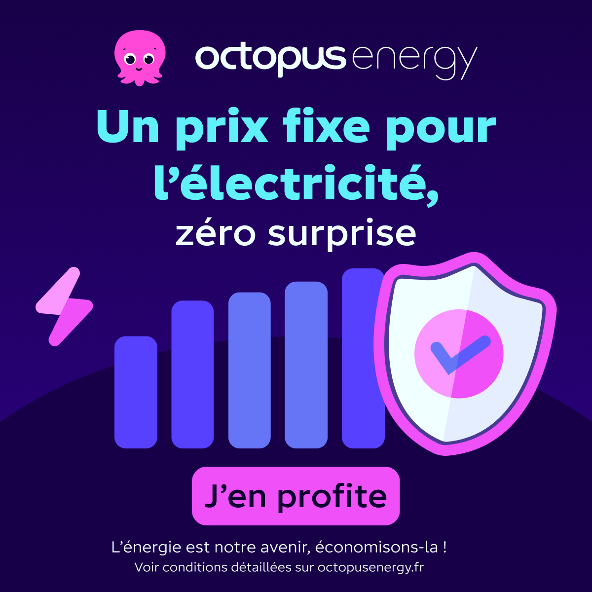 Octopus Energy Facebook ad