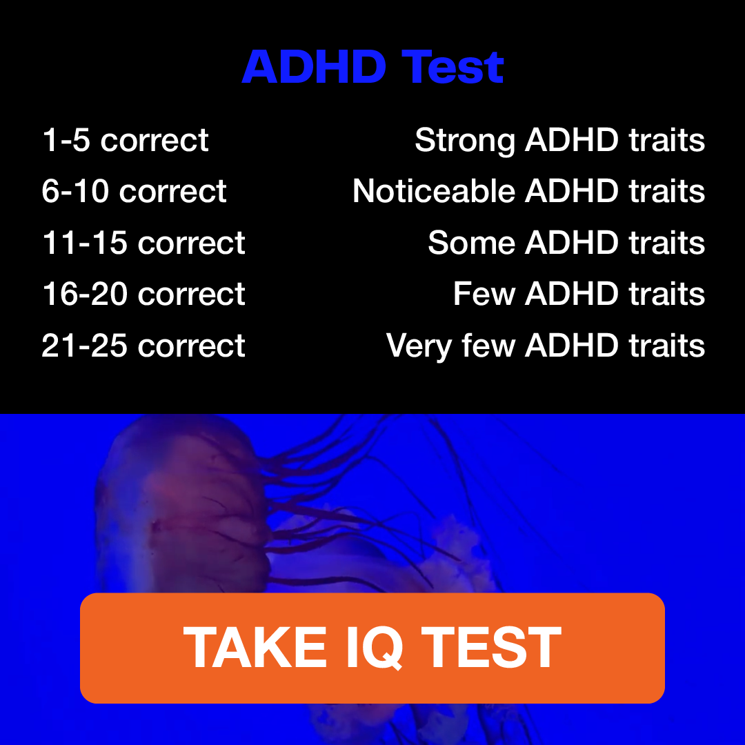 My IQ Facebook ad