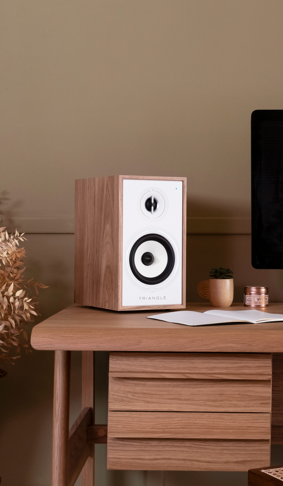 Triangle Hifi Facebook ad