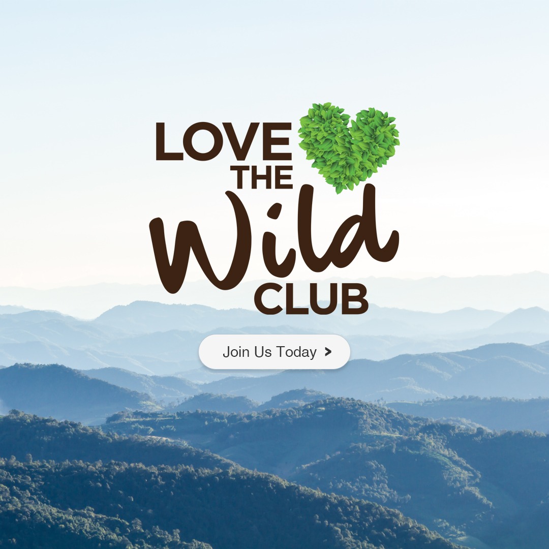 Peace With The Wild Facebook ad