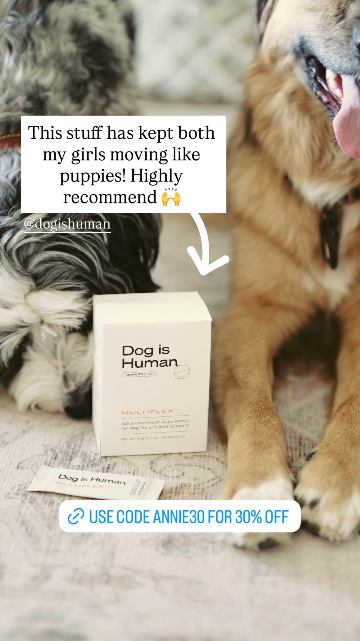 Dog is Human Facebook ad
