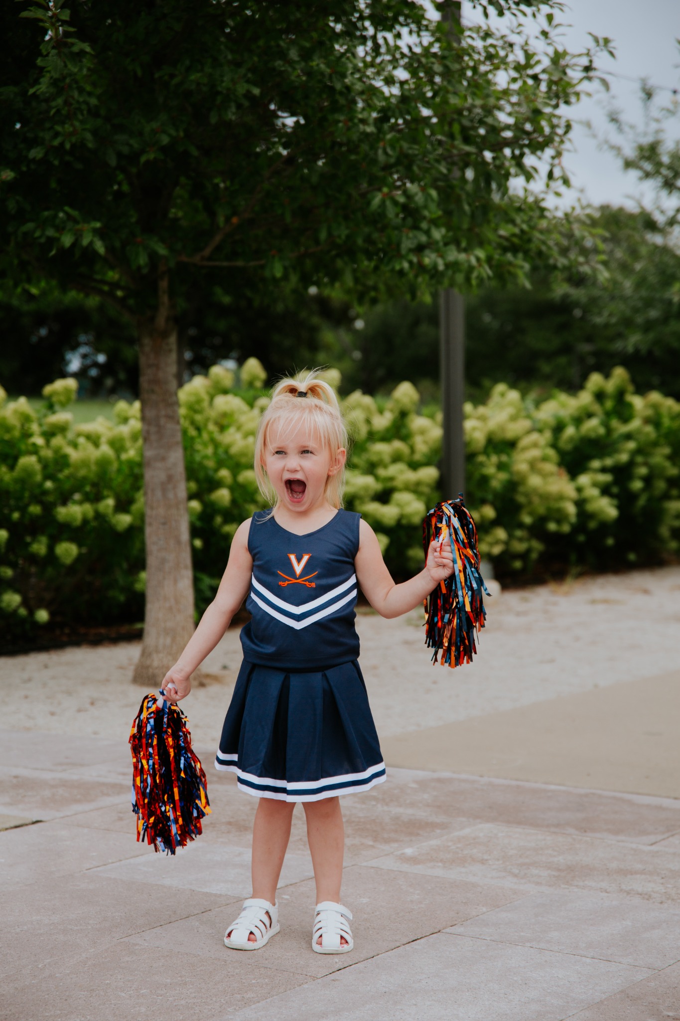 Alumni Hall UVA Facebook ad