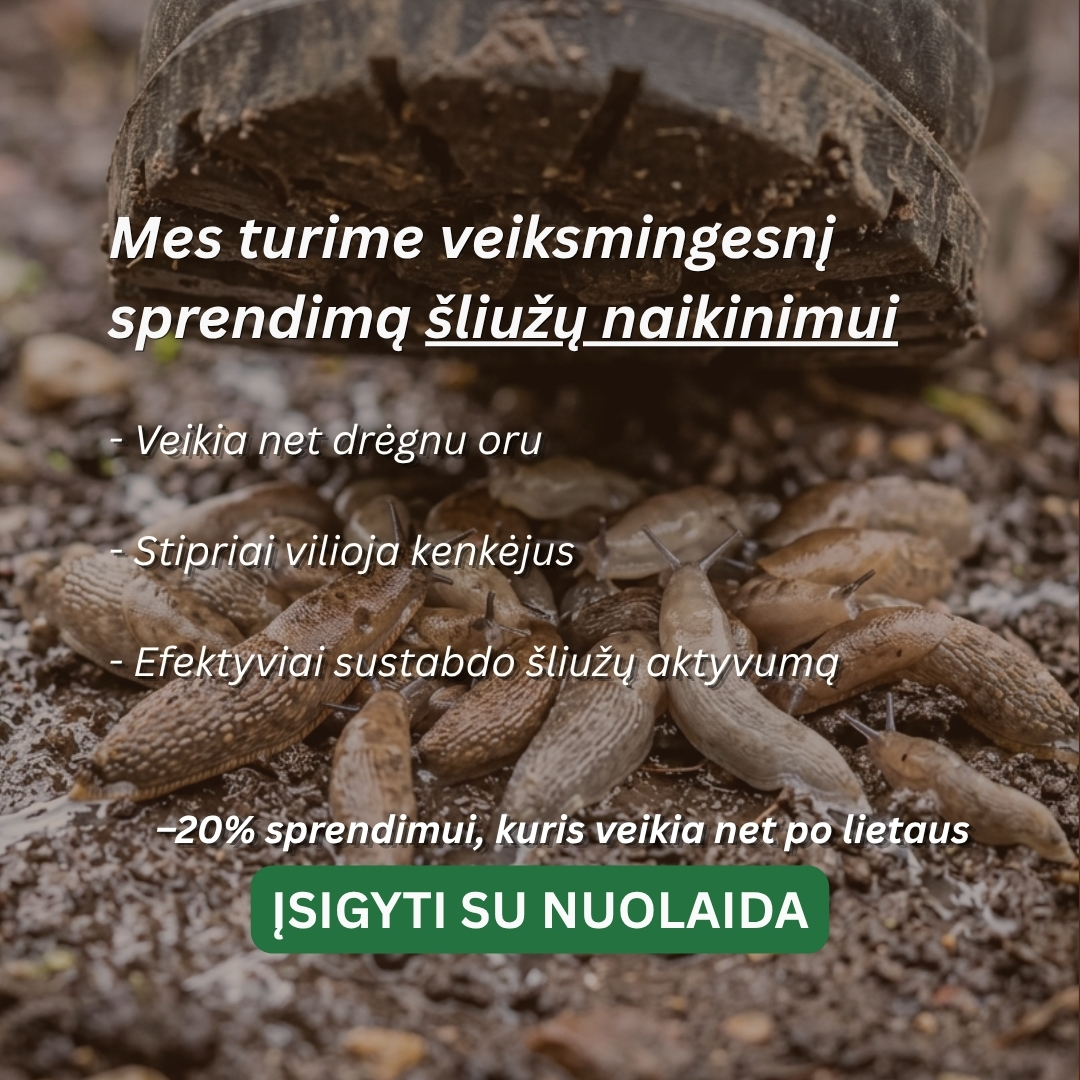Nojaus sėklos Facebook ad