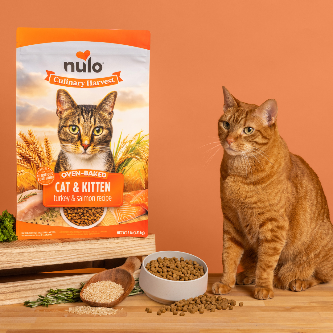 Nulo Pet Food Facebook ad: Shop Nulo Pet Food at Murdoch's