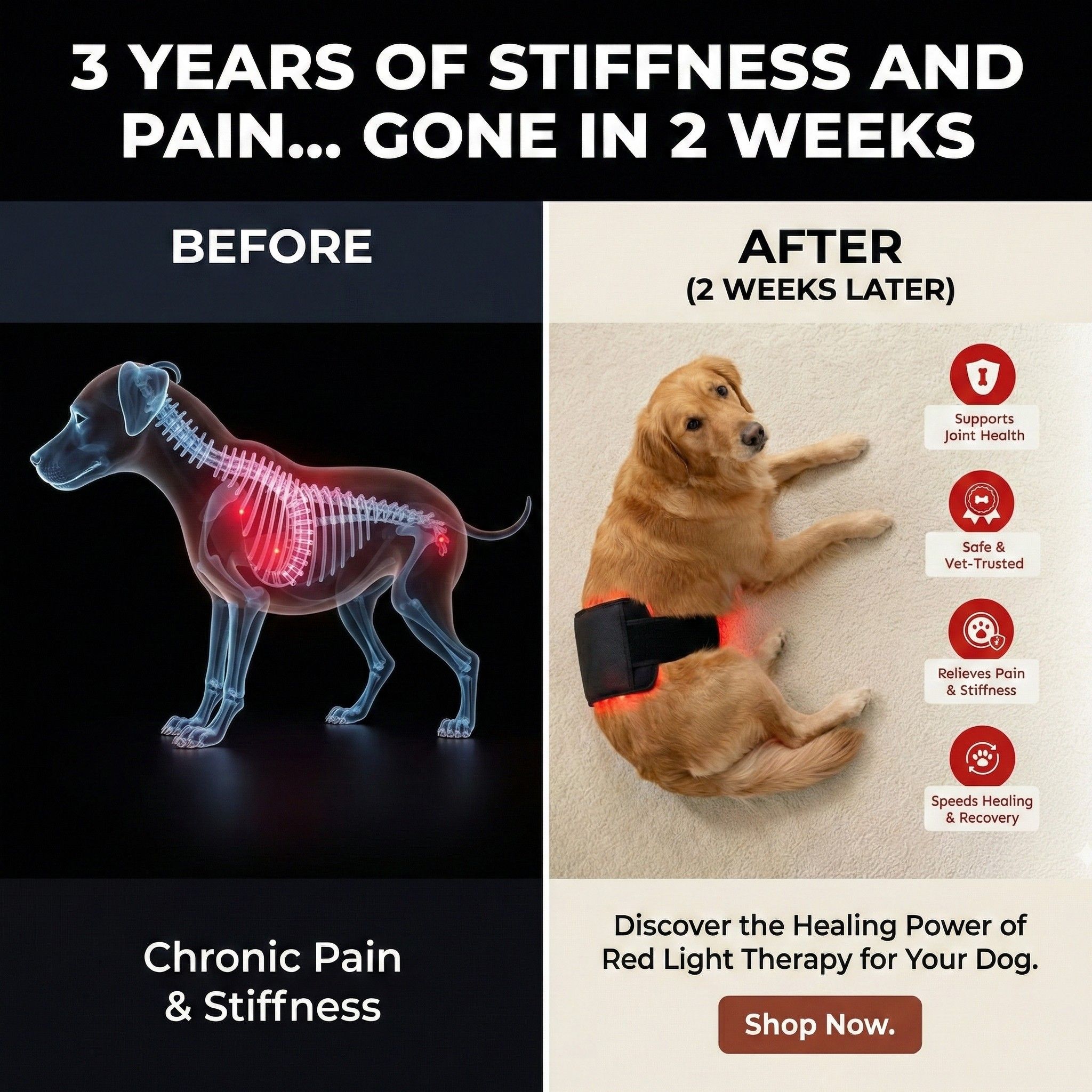 Therapet Co Facebook ad