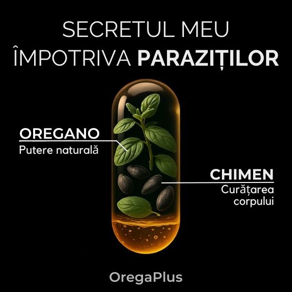 Casa Echilibrului Facebook ad from May 12, 2026