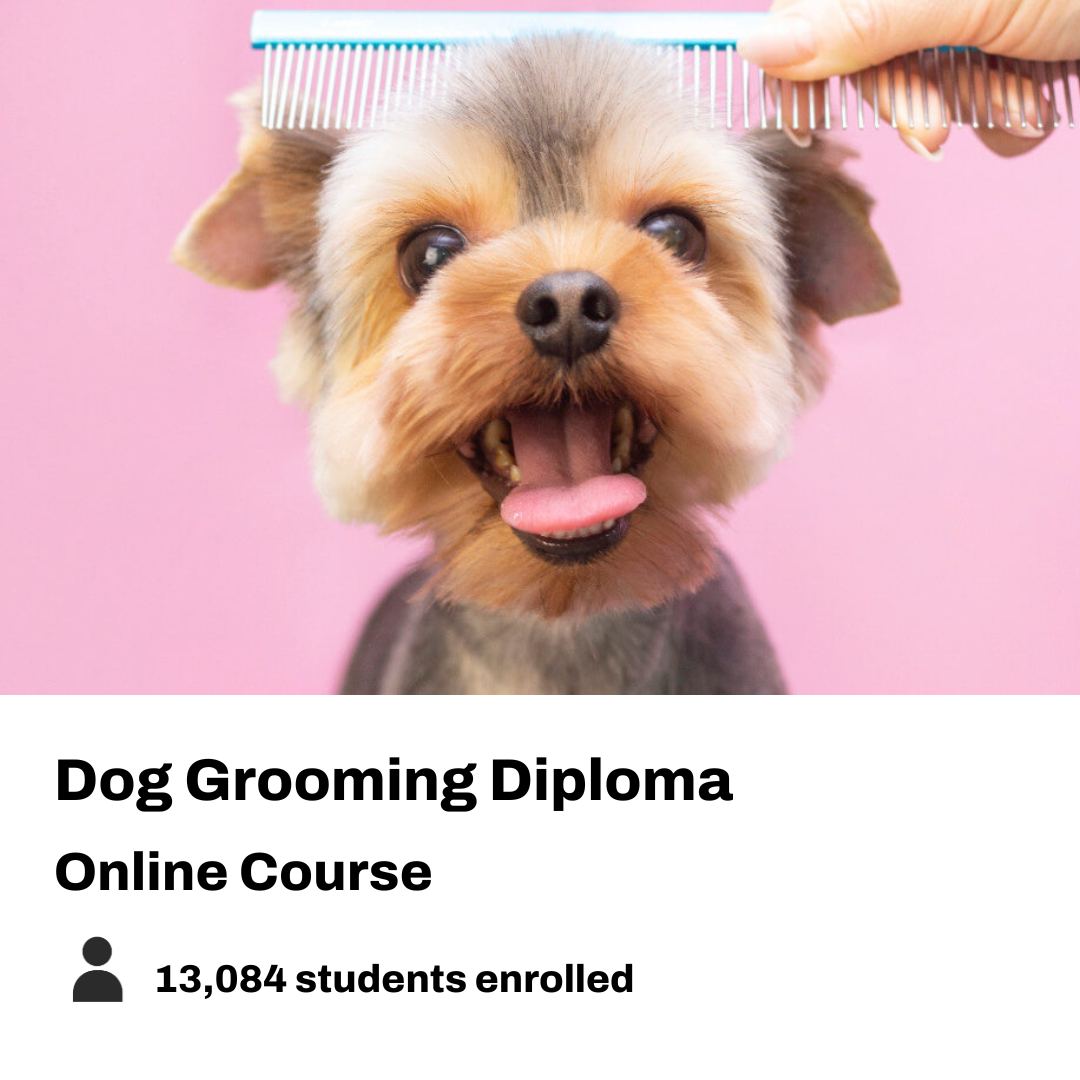 New Skills Academy Facebook ad