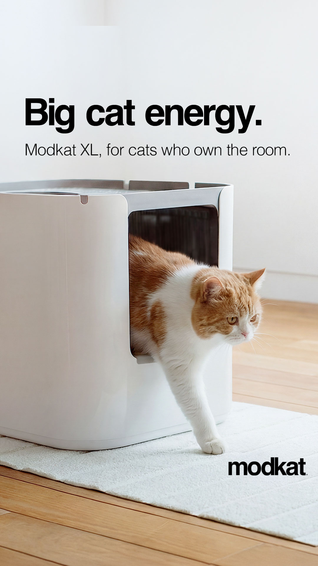 Modkat Facebook ad