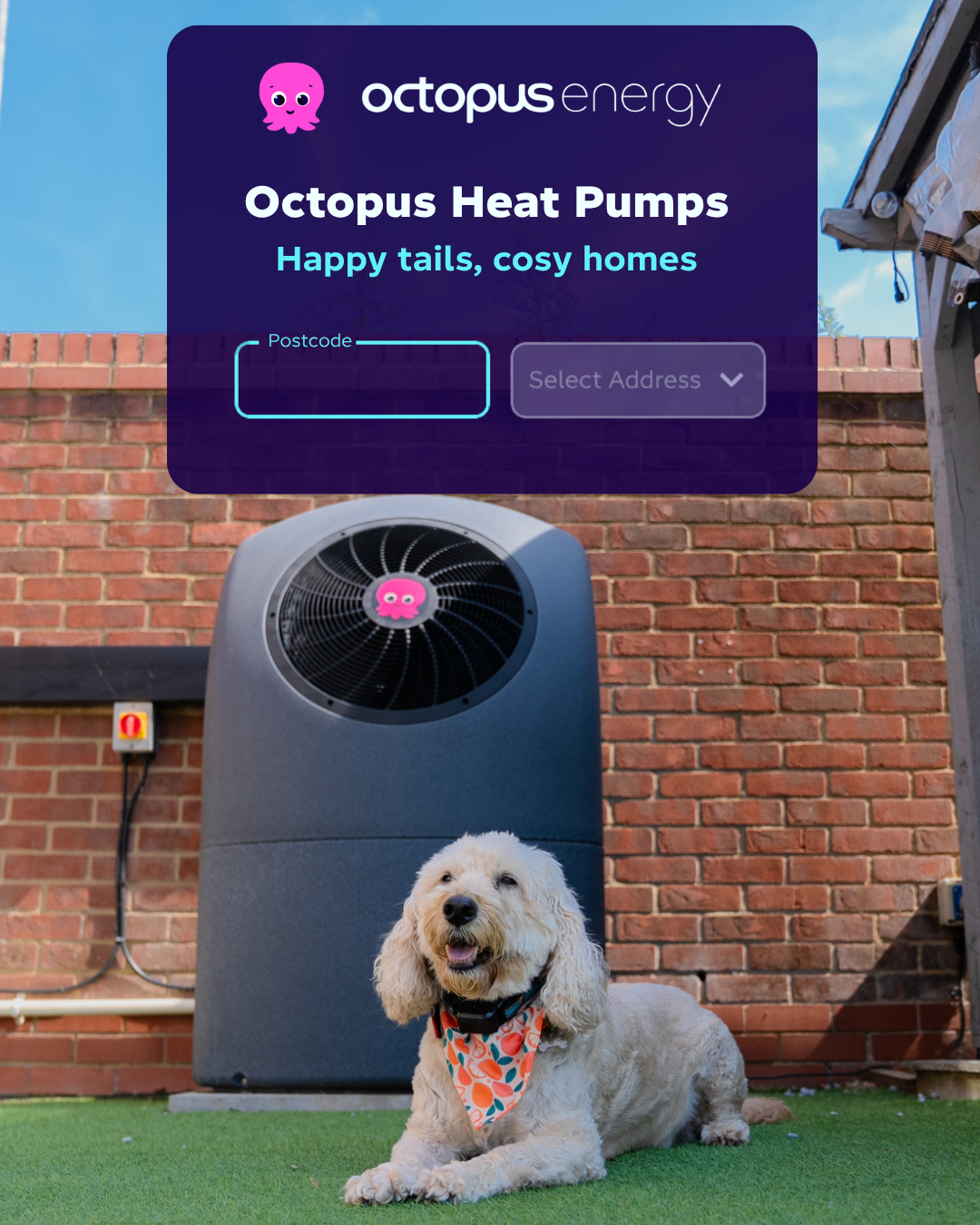 Octopus Energy Facebook ad