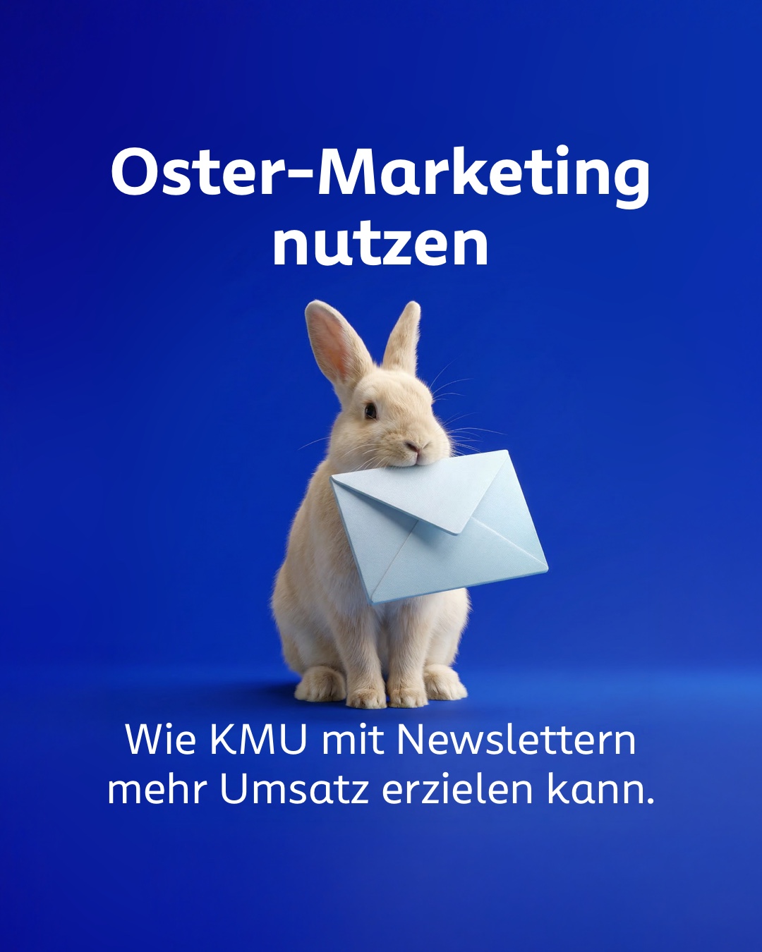Volksbank Facebook ad: Wirtschaftskompass: Oster-Marketing für KMU