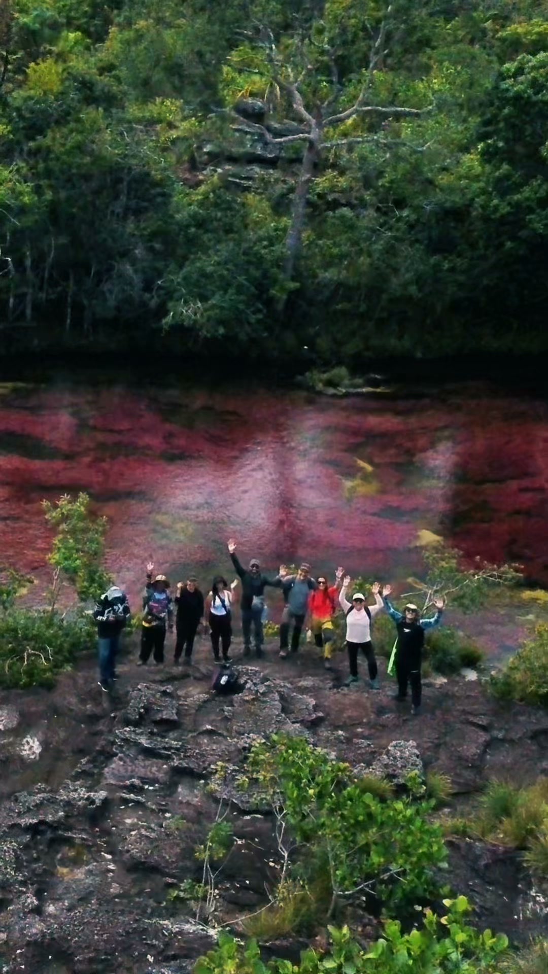 travelgreen.com.co Facebook ad: ¡Vive la magia de Caño Cristales!