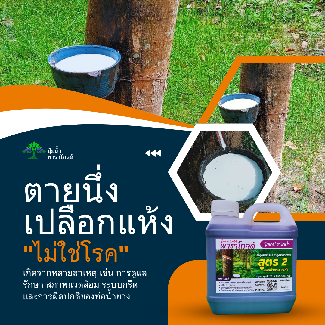 ปุ๋ยน้ำยางพารา พาราโกลด์ Facebook ad