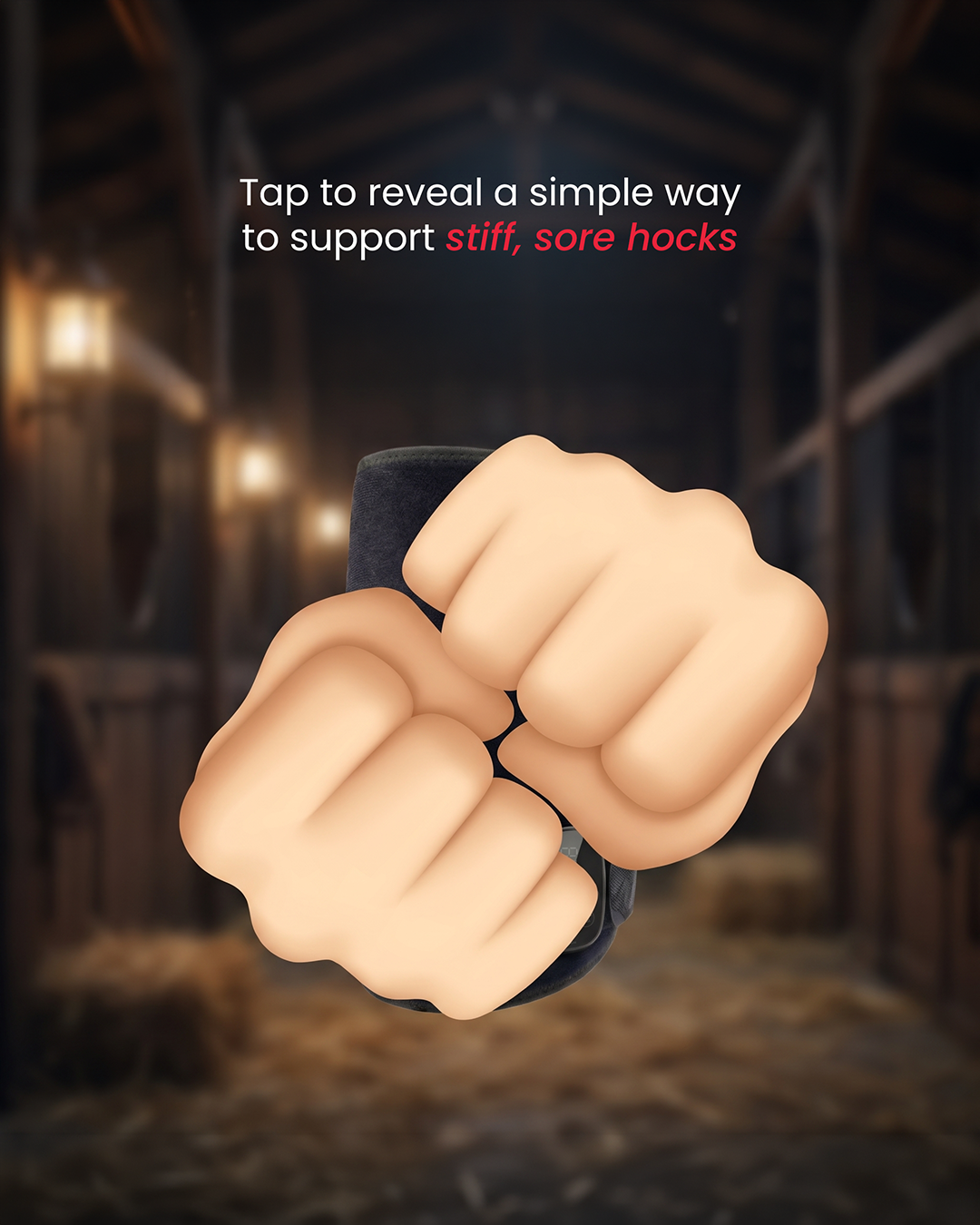 HorseHalo Facebook ad