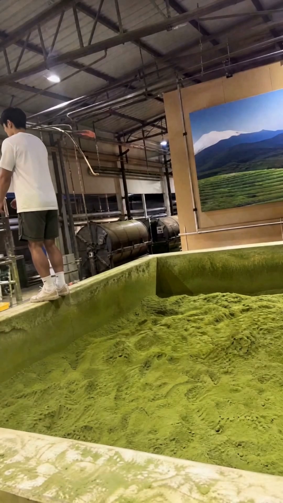 Matcha Fuel Facebook ad: 100% Money-Back Guarantee