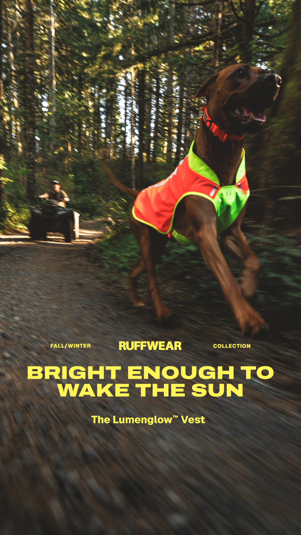 Ruffwear Facebook ad from Aug 17, 2026