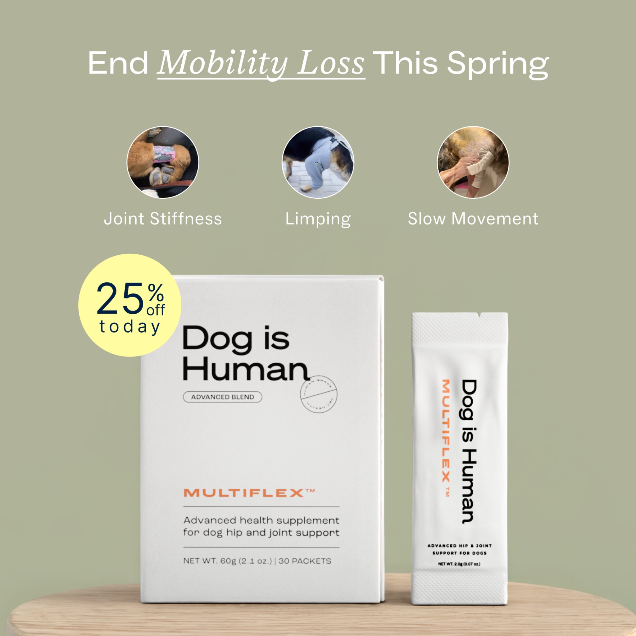 Dog is Human Facebook ad