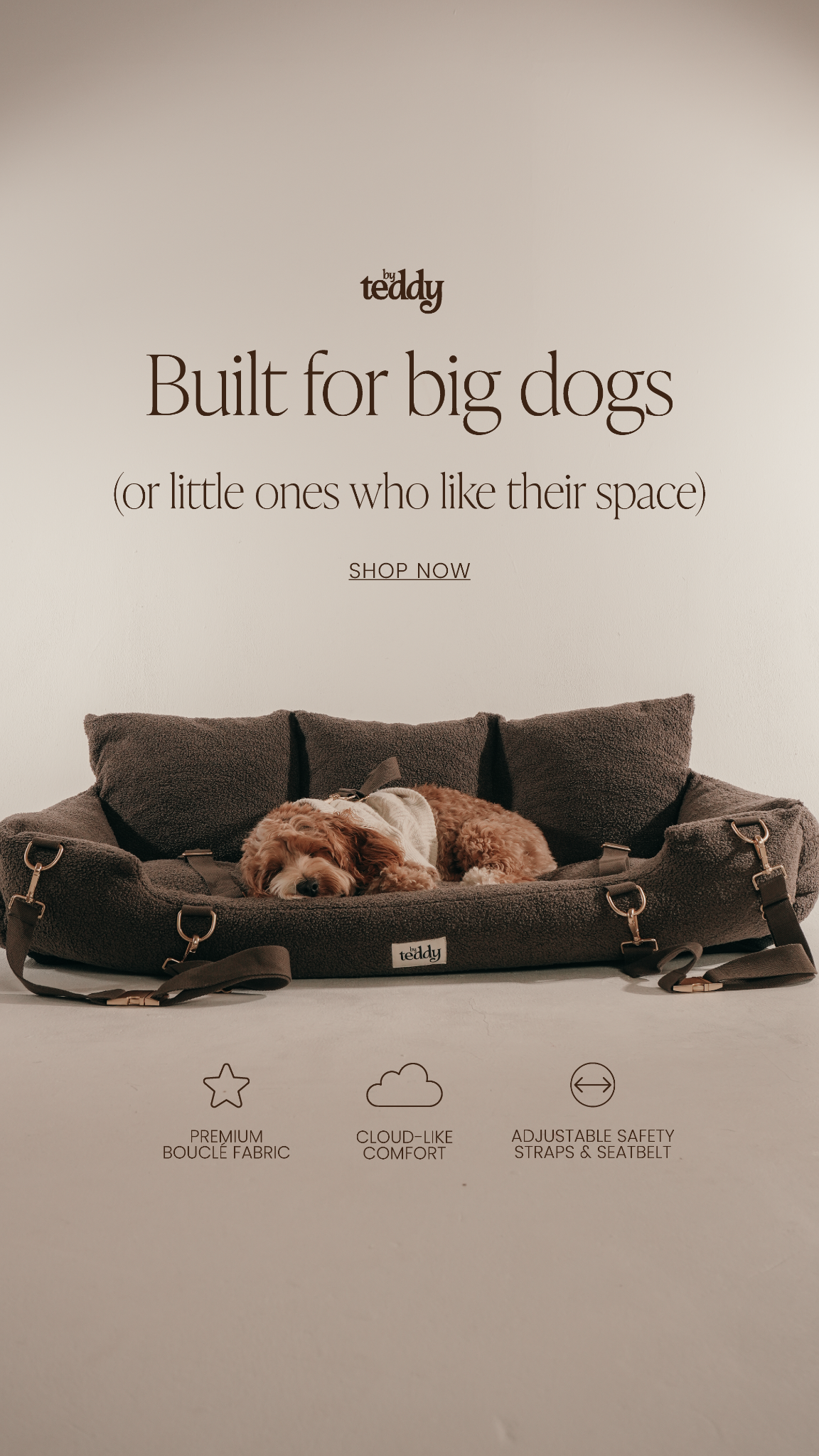 By Teddy Facebook ad
