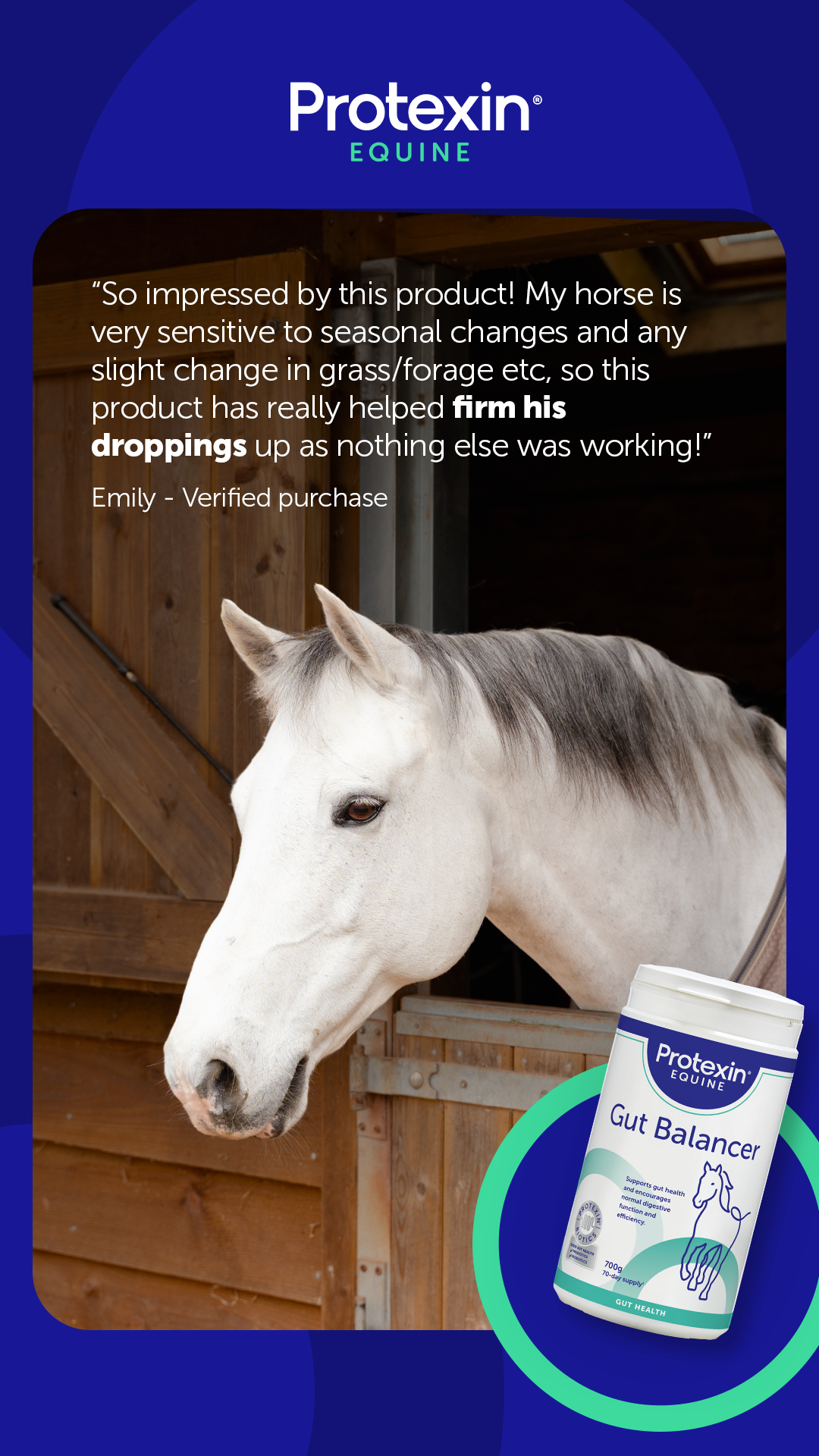 Protexin Equine Facebook ad