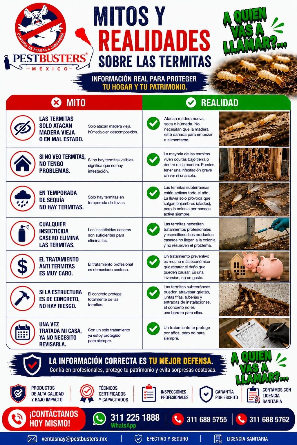 Pestbusters Nayarit. Facebook ad: TERMITAS.A QUÍEN VAS A LLAMAR?