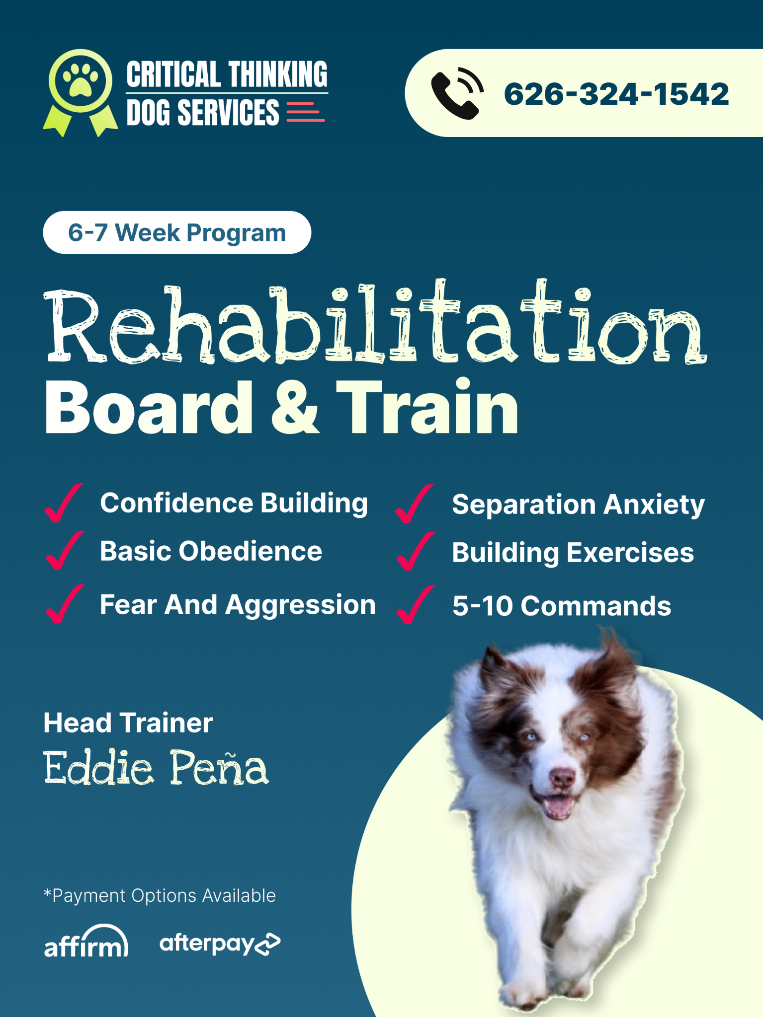 Critical Thinking Dog Services Facebook ad: Fear & Aggression Training, We Can Help!