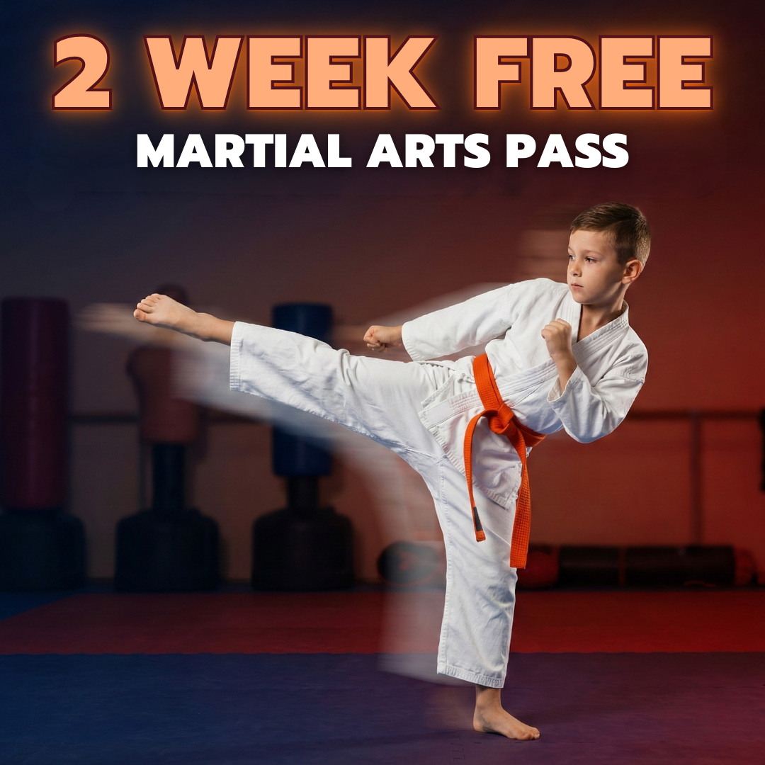 TKO Martial Arts Academy Facebook ad