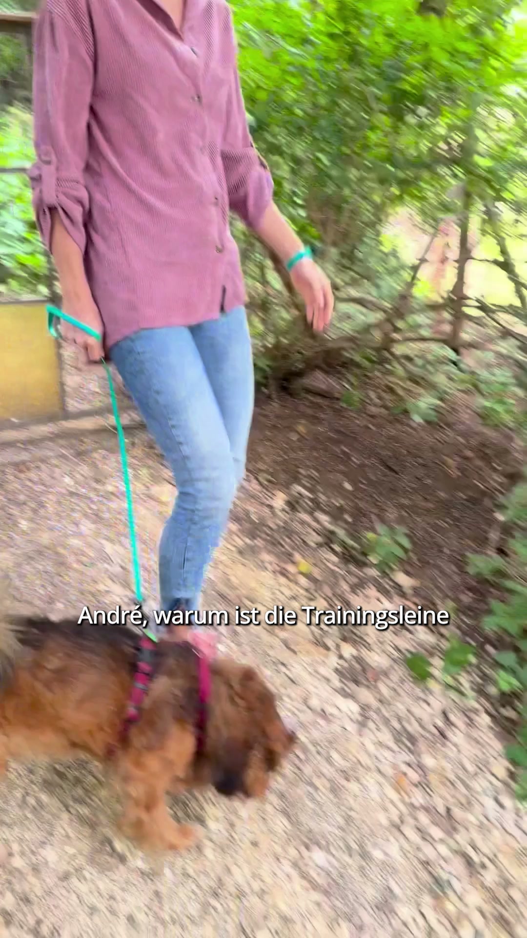 André Vogt - Der Welpentrainer Facebook ad: Jetzt Leine sichern!