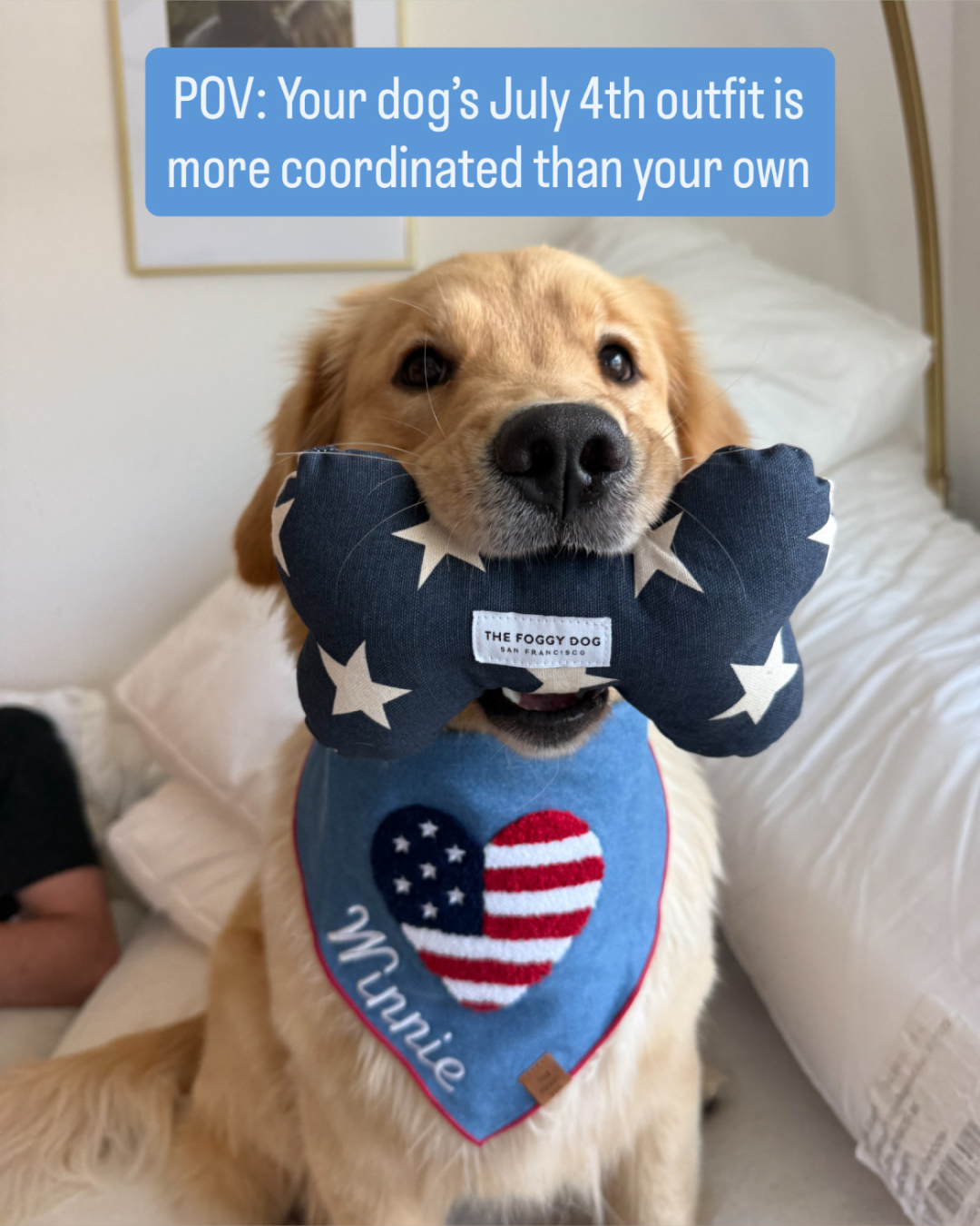 The Foggy Dog Facebook ad