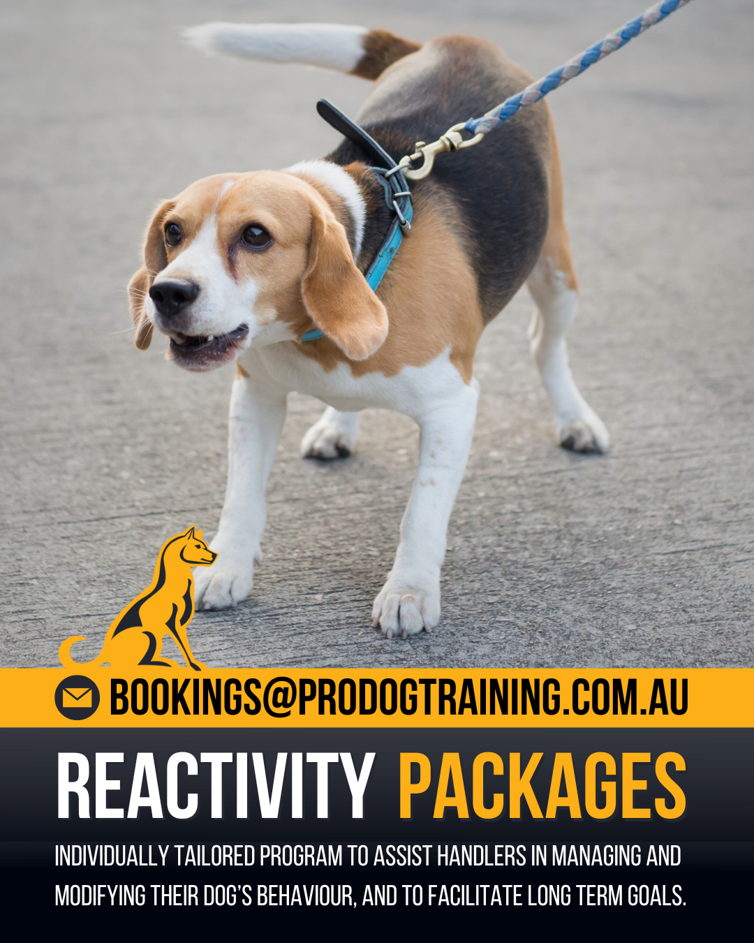 Pro Dog Training Facebook ad