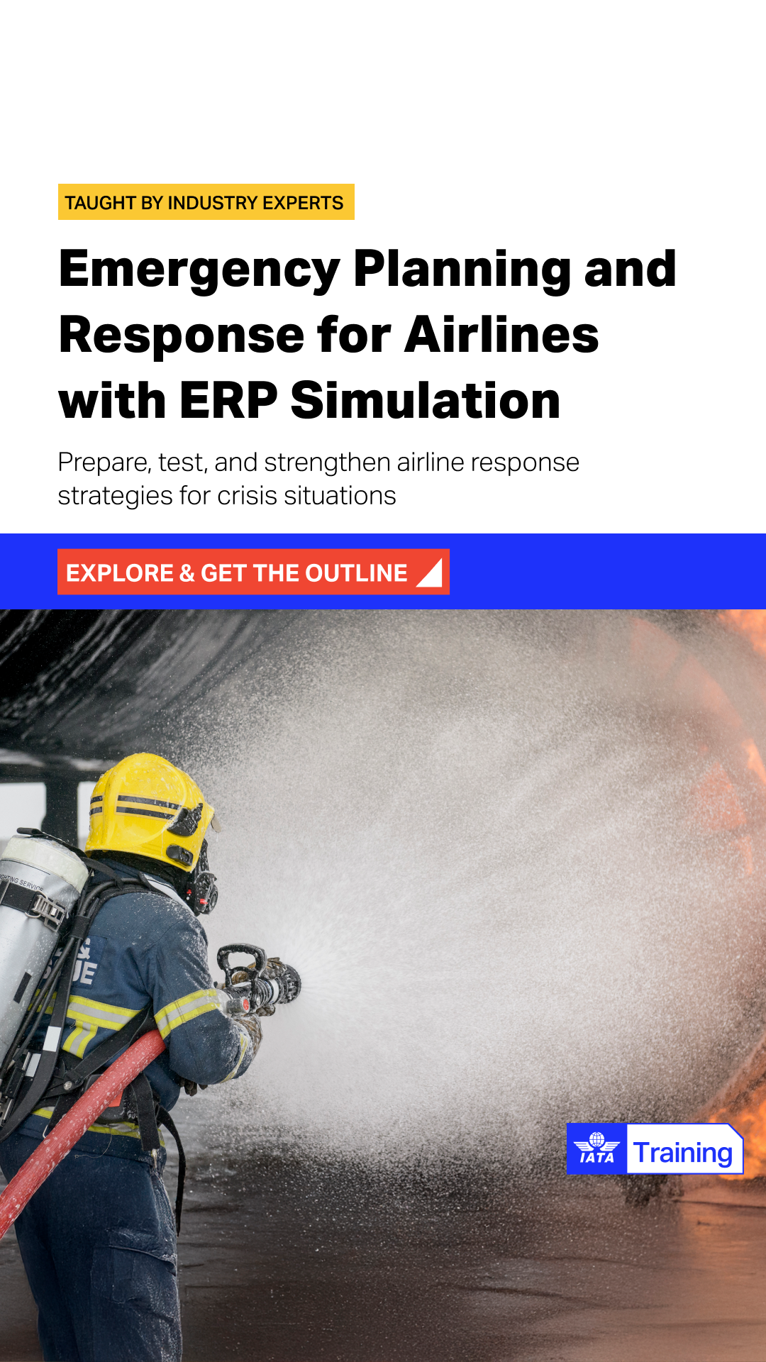 IATA Training Facebook ad
